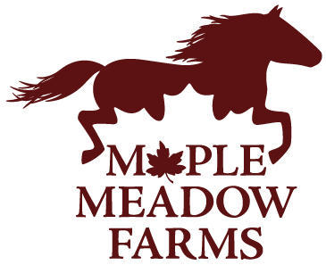Maple Meadow Farms Registered Miniature Horses